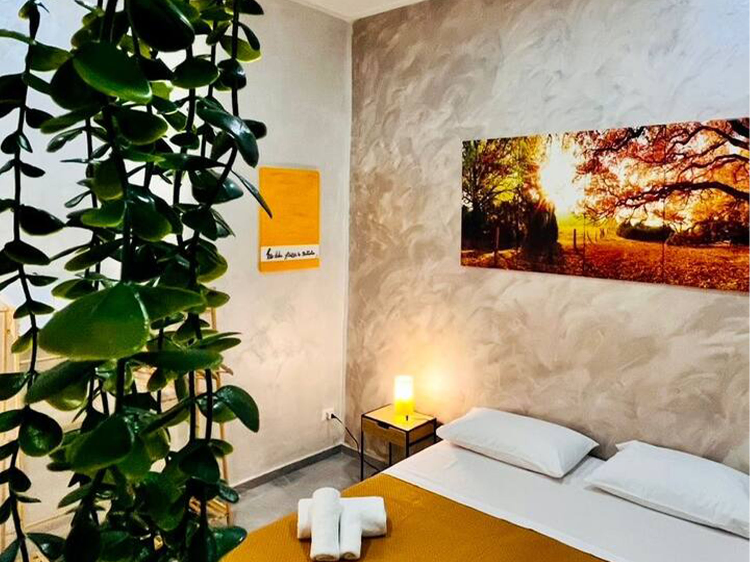 foto slider camera _0005_d66f0a68-1081-4a84-8a6c-e8c600a8fb2a